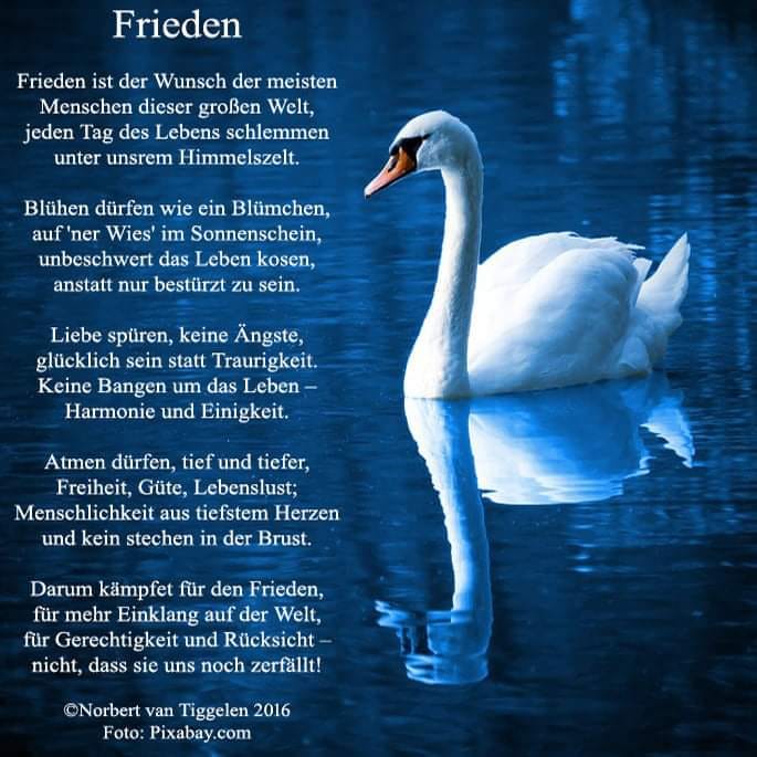 274833363_4547643532002374_8419594060413547695_n