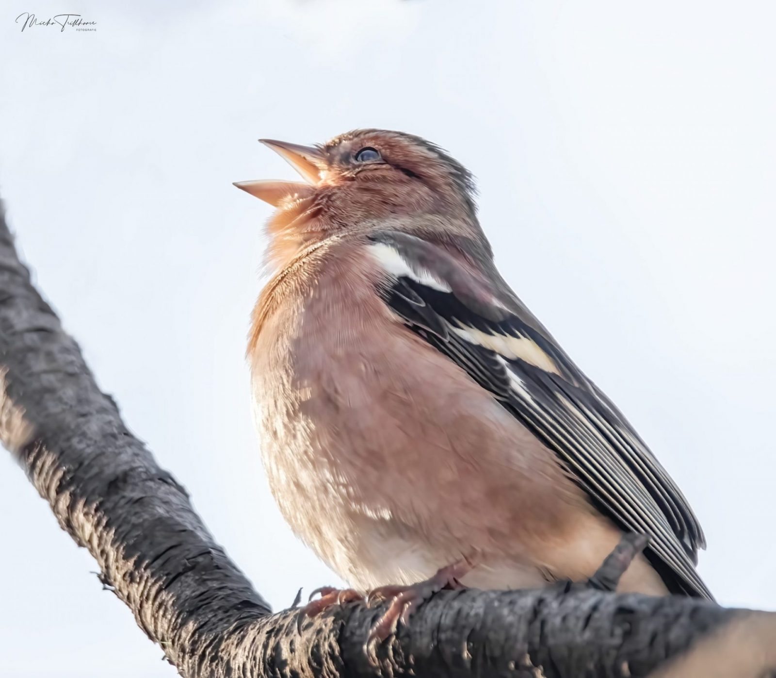 274879451_306543258131420_874030868499736585_n