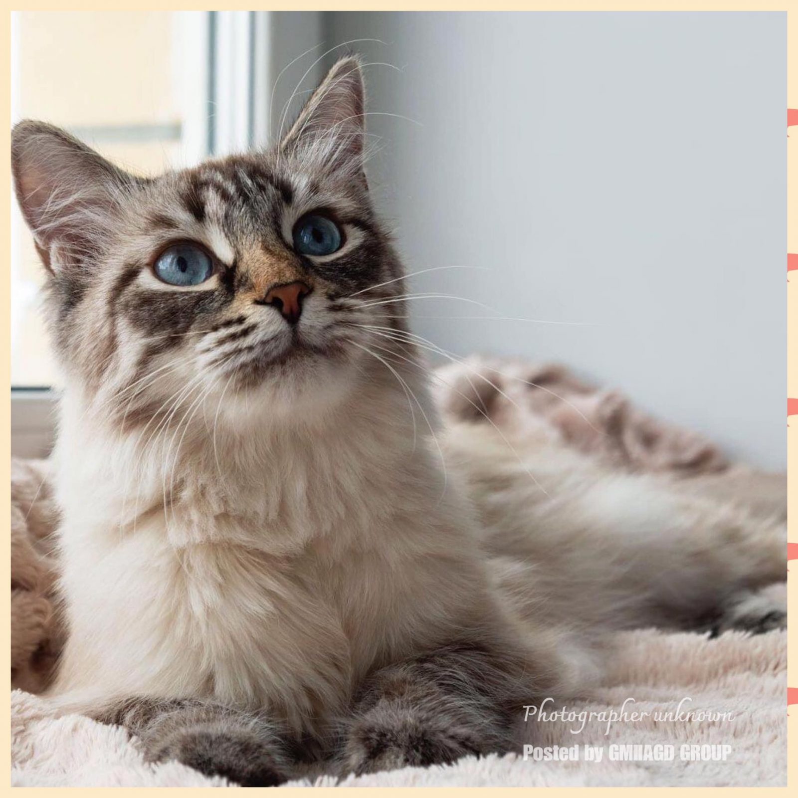 274917682_2056388084529622_3599730471952206762_n