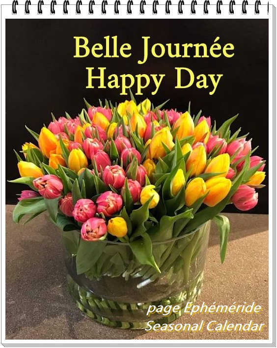 275005422_5223648034351917_9177081391463728946_n