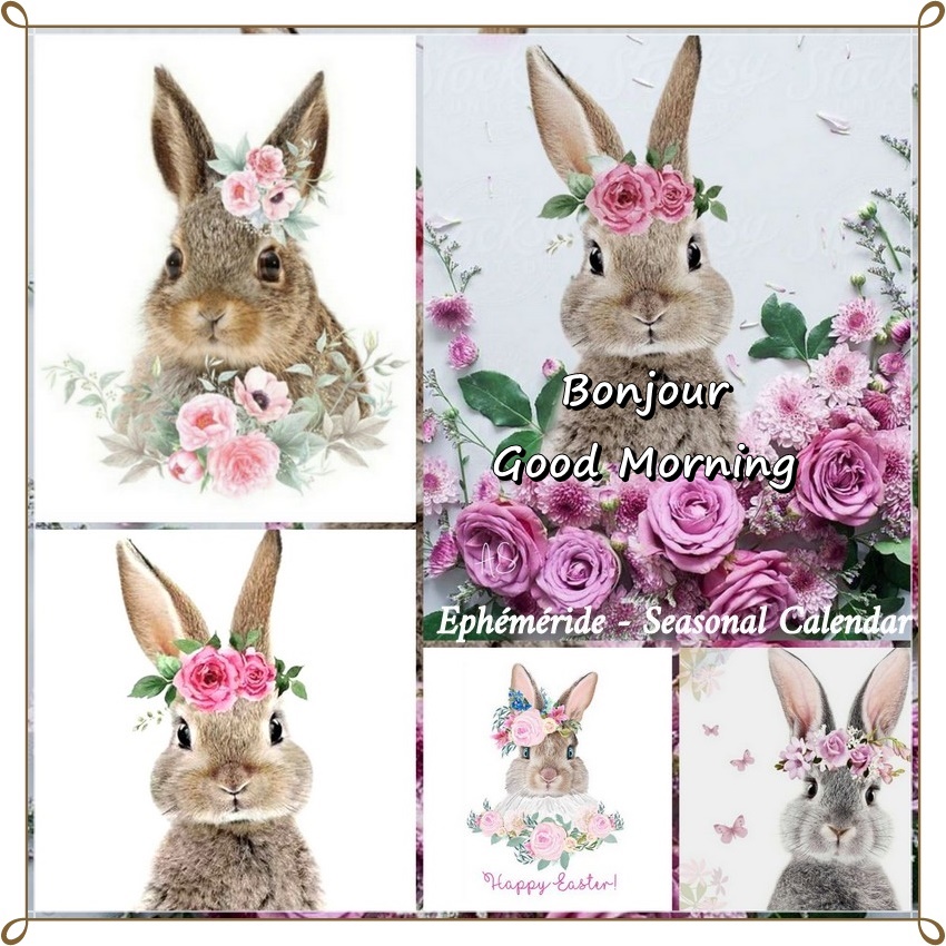 275081731_5293592184024168_7663423791686807709_n