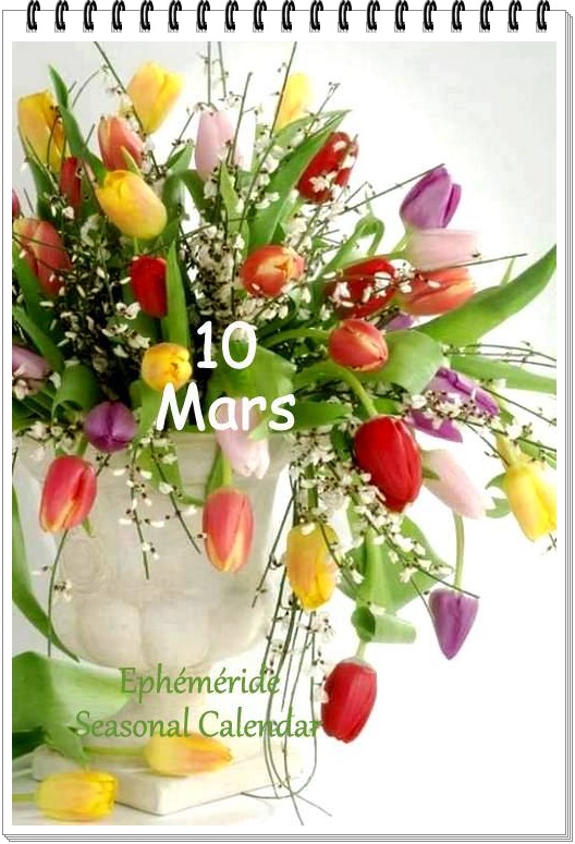 275131891_5198497756866945_7309317309596776535_n