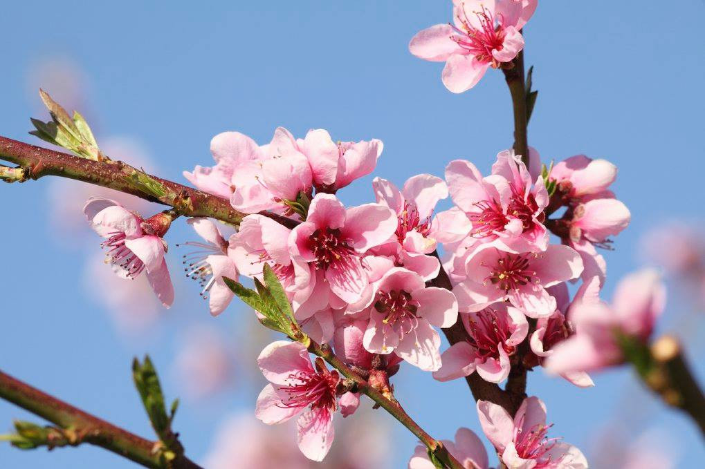 275161514_6300315257220_931590157241627646_n