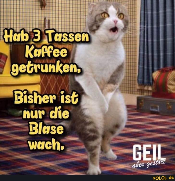 275233057_452608126549518_3344479346183334234_n