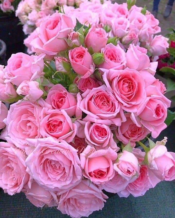 275237232_3149595575278238_3435618444803752116_n