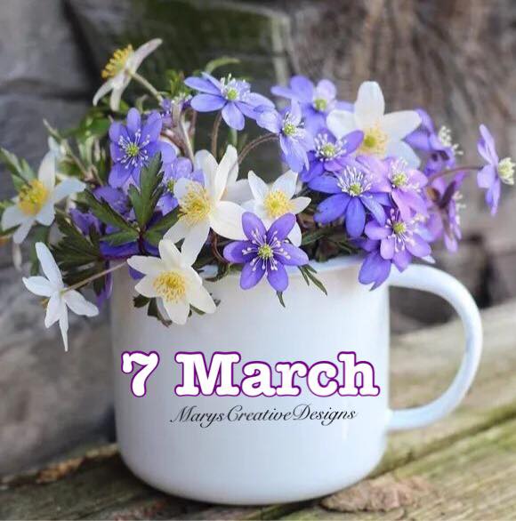 275242681_3139919086245887_6586492674653624726_n (1)