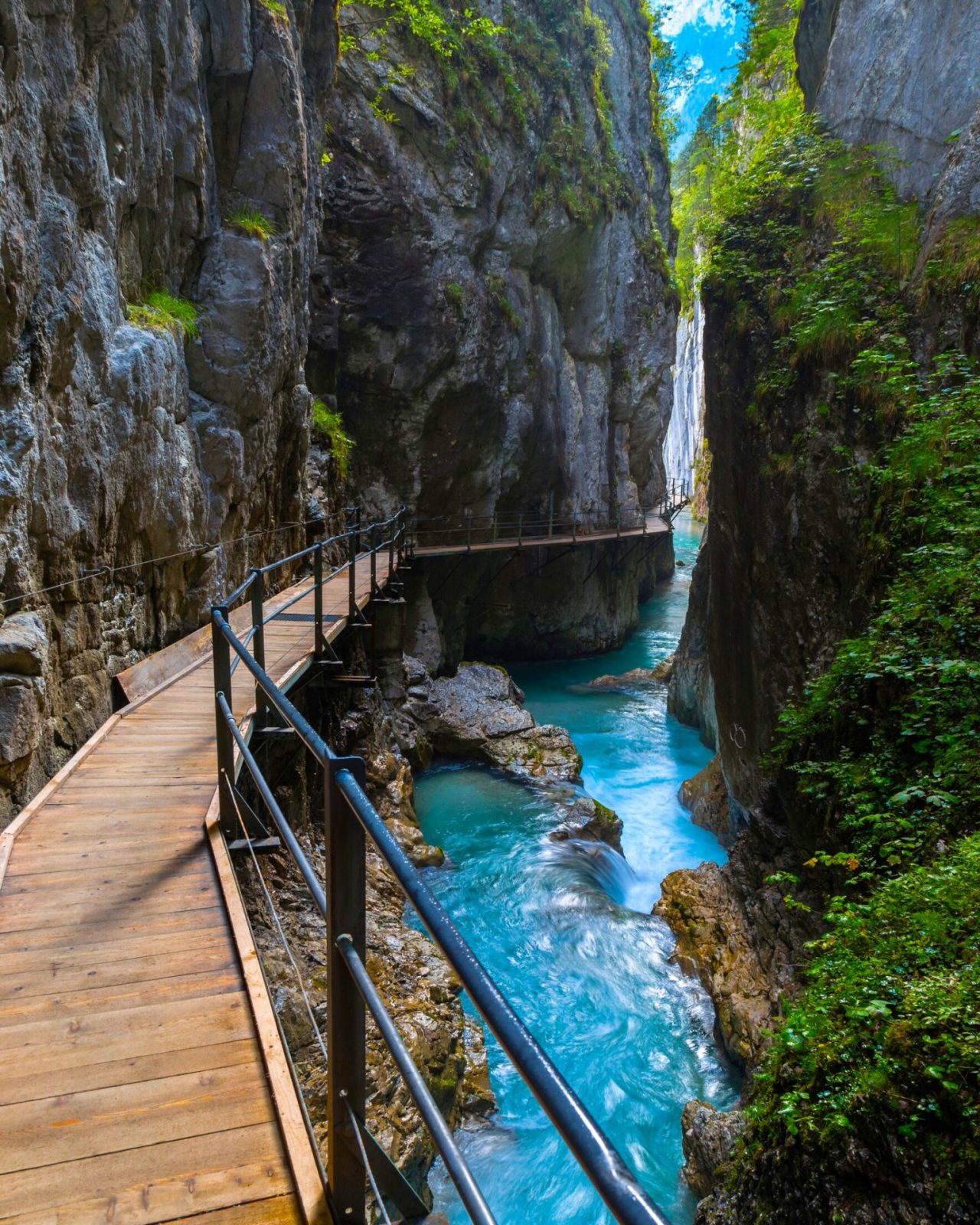 275278622_5115101075200372_225639703129777450_n