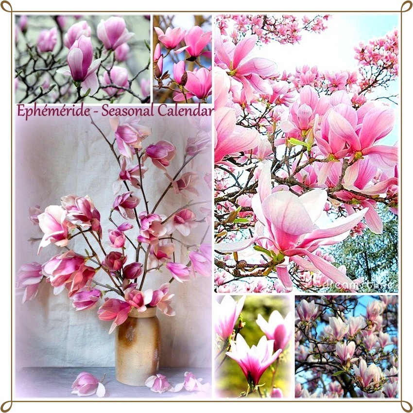 275364710_5201502286566492_8799827482308020942_n