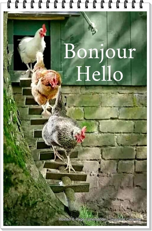 275373198_5198589953524392_4969769604694825717_n