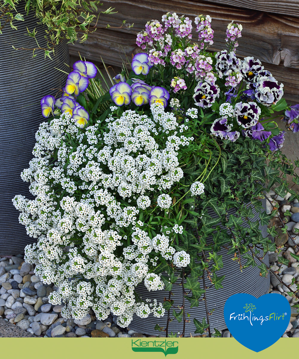 275443665_1619389178426729_3699069191804025336_n