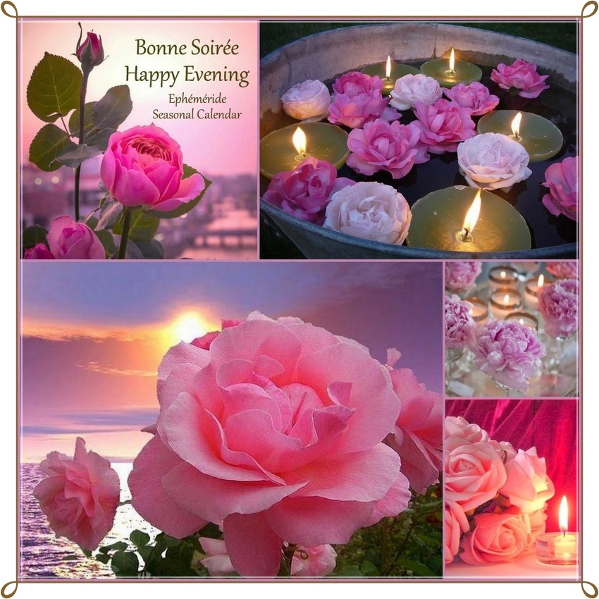 275498260_5201437696572951_4008806710059529418_n