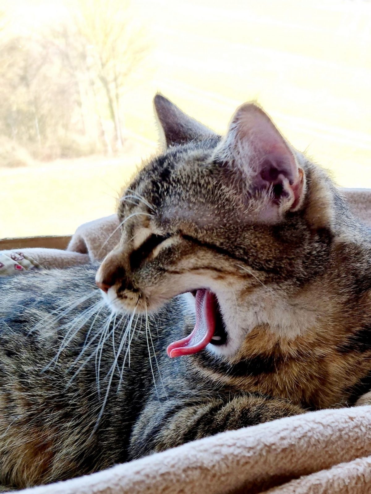 275550507_1363875414061311_2732568795302590048_n