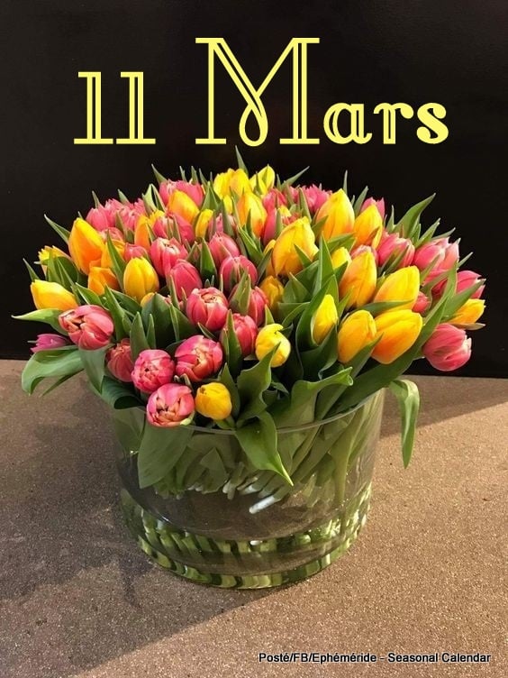 275559693_5201549766561744_9129873828864192298_n