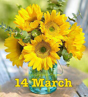 275575239_3145229432381519_6547774973493092263_n (1)