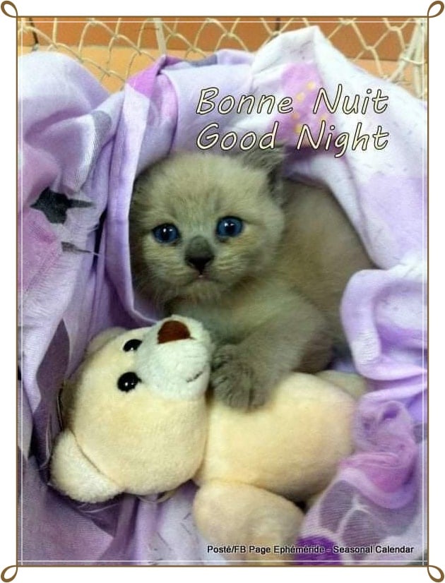 275580966_5206606169389437_6493825567195484128_n