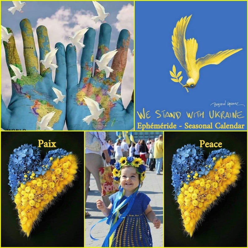 275603053_5209135109136543_8846717424569988884_n