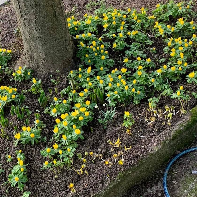 275605459_503485501140653_8837497647656404785_n