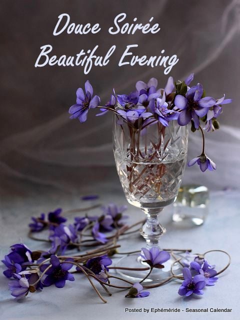 275660400_5214628828587171_1934063410862134498_n