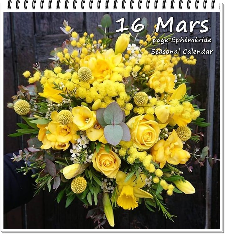 275662210_5215160768533977_6861373335868137368_n