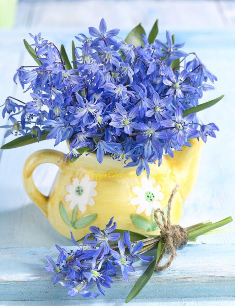 275842029_3151917471712715_5756912344571123080_n