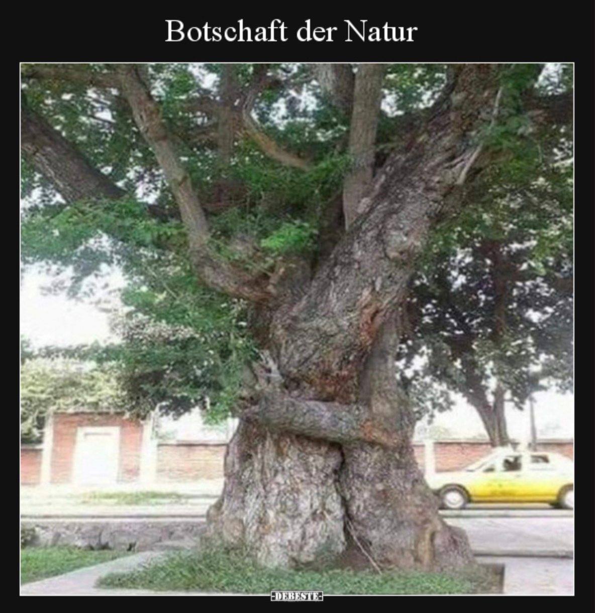 275853062_4922024334583975_1047770367048588858_n