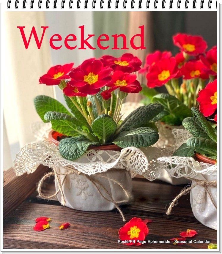 275912578_5223646924352028_8591250653475570465_n