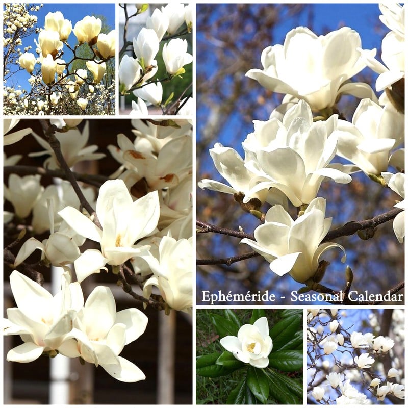 275927040_5231040986945955_8170412570536977996_n