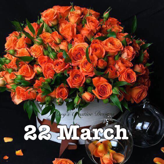 275997164_3151669178404211_6277980190423096055_n (1)