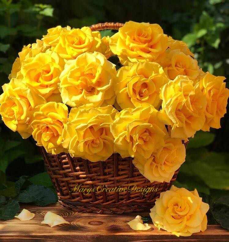 276029798_3147948492109613_3375993252094614417_n