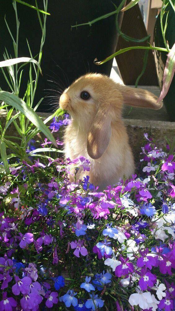 276062580_3150417548529374_3635527476429138563_n