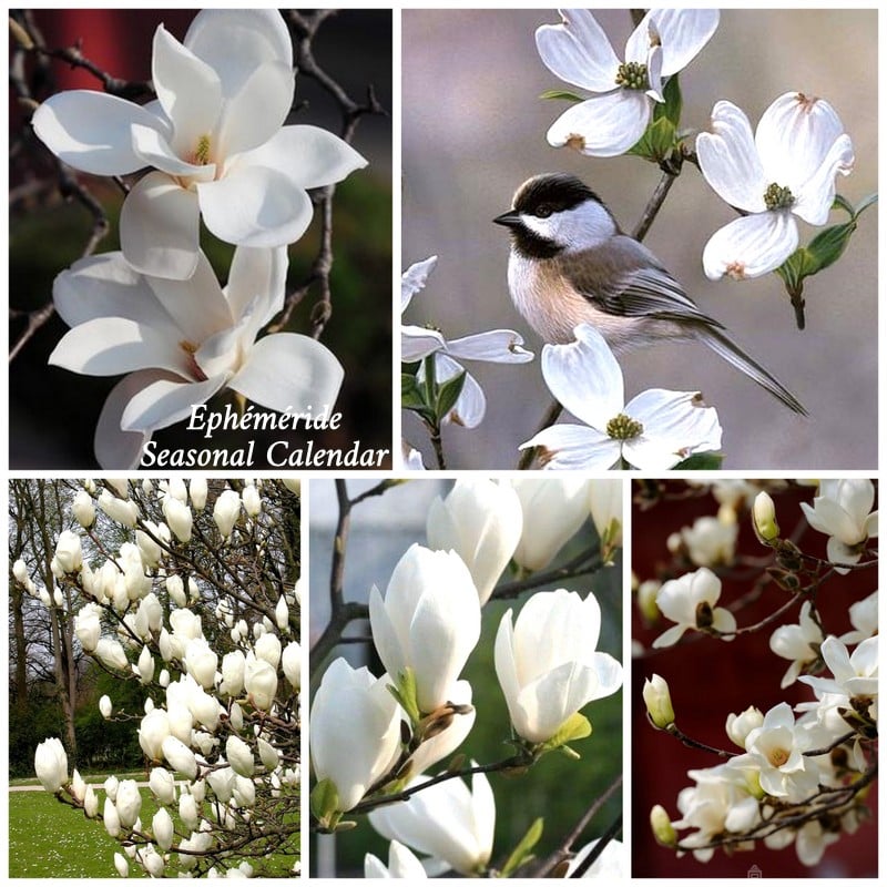 276107845_5240920002624720_5856030785649184092_n