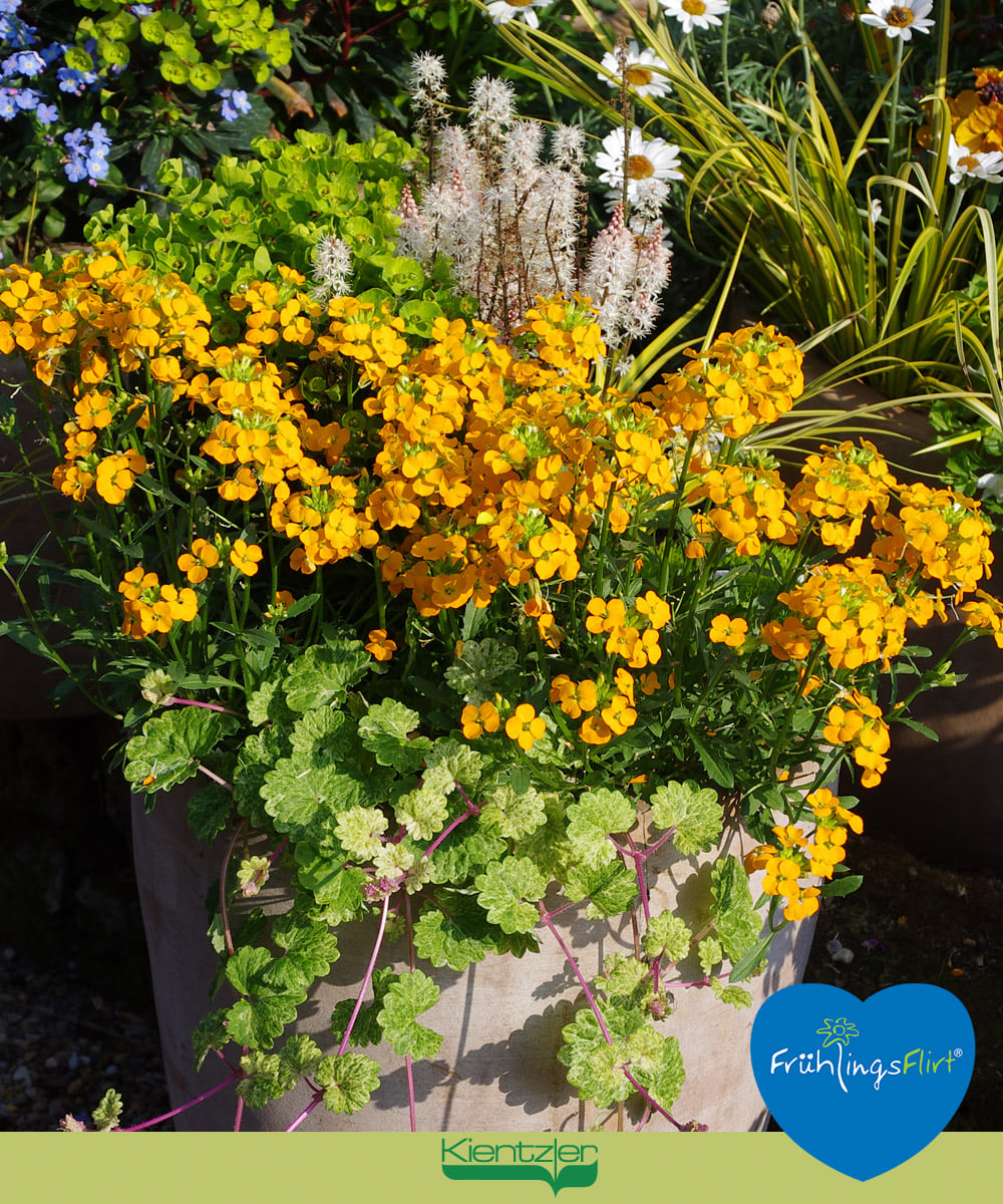 276108285_1626066637758983_4956214538185836244_n