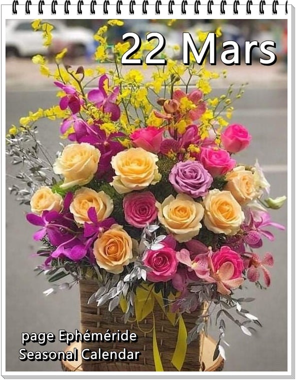 276126214_5231253196924734_4417814020951149397_n