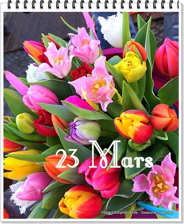 276208598_5233898666660187_2397863805585814047_n