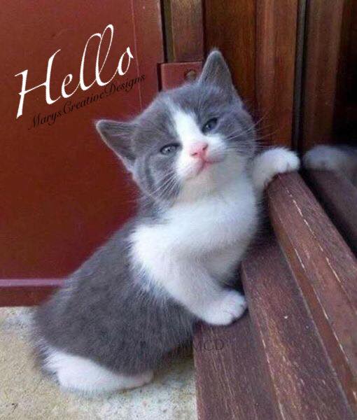 276234434_3148741435363652_7054648130667593897_n