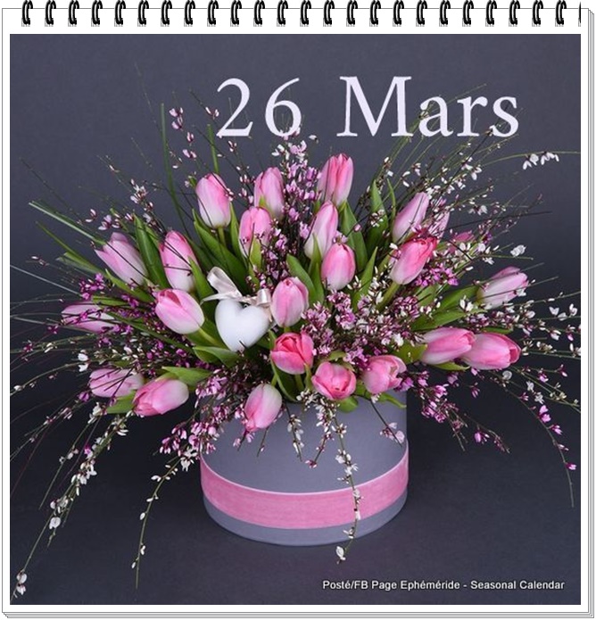 276294085_5242088955841158_5989407662085122670_n