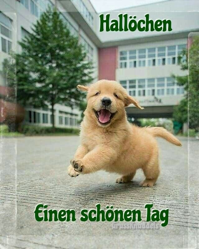 2768a6ad4c7f26a2dc638ea736c813ad