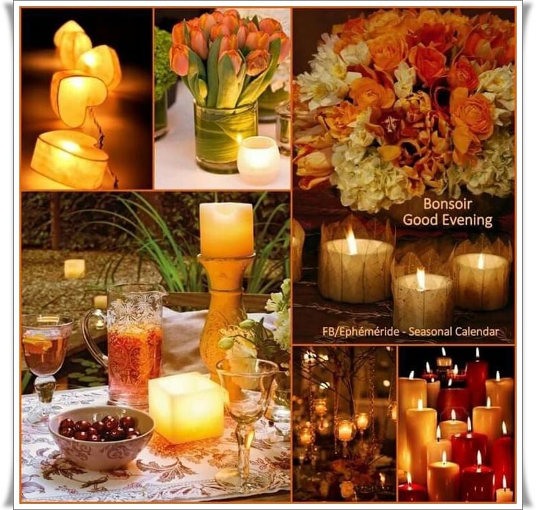 277006823_5244217458961641_5373813416613491929_n