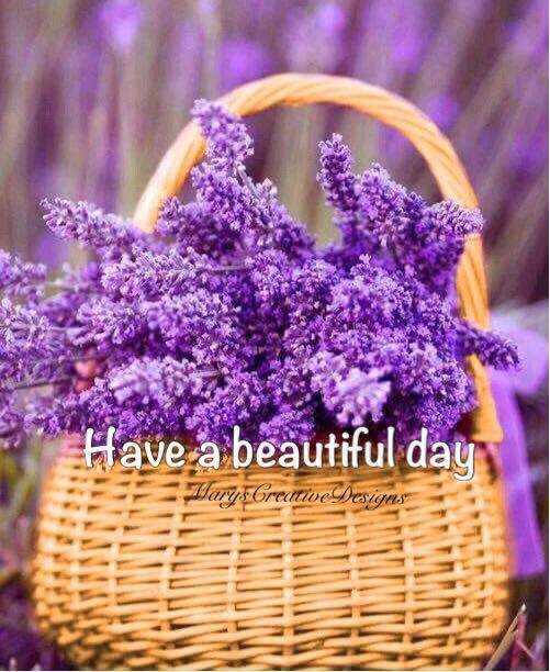 277176658_3159907004247095_2369295454024335443_n