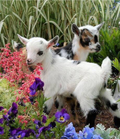 277230337_3155870891317373_5283970056988689855_n