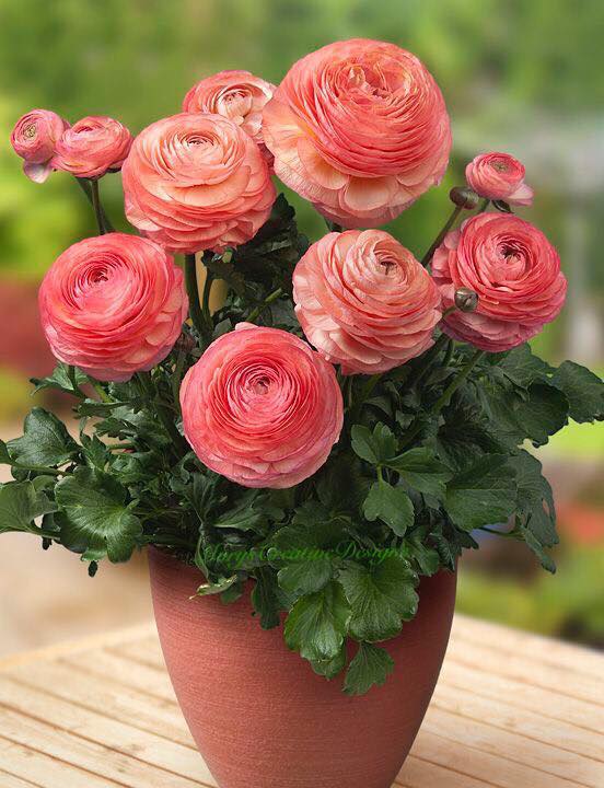 277252892_3163276890576773_4586186186367001122_n