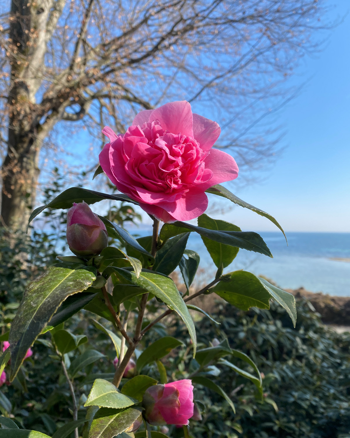 277503026_10160394375704258_8914514211345763039_n