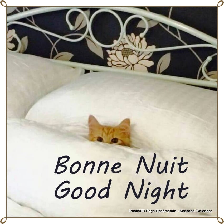 277524777_5257647557618631_8417650711060401129_n