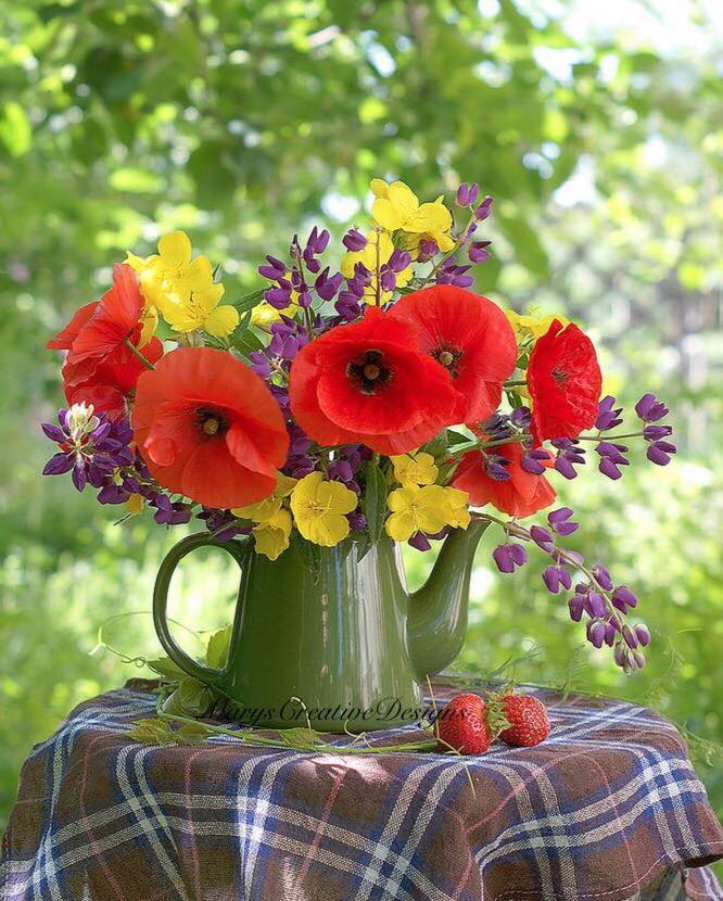 277576345_3165808273656968_3184181636516107836_n