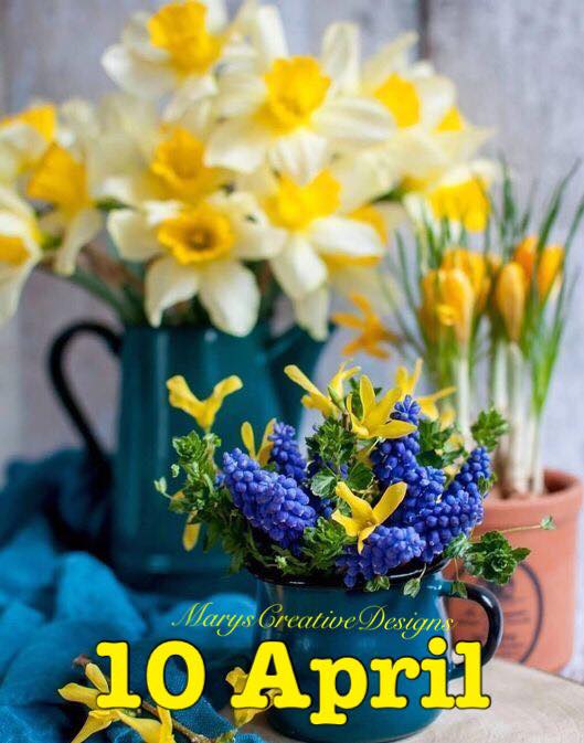 277581157_3167125346858594_4168967213536602179_n (1)