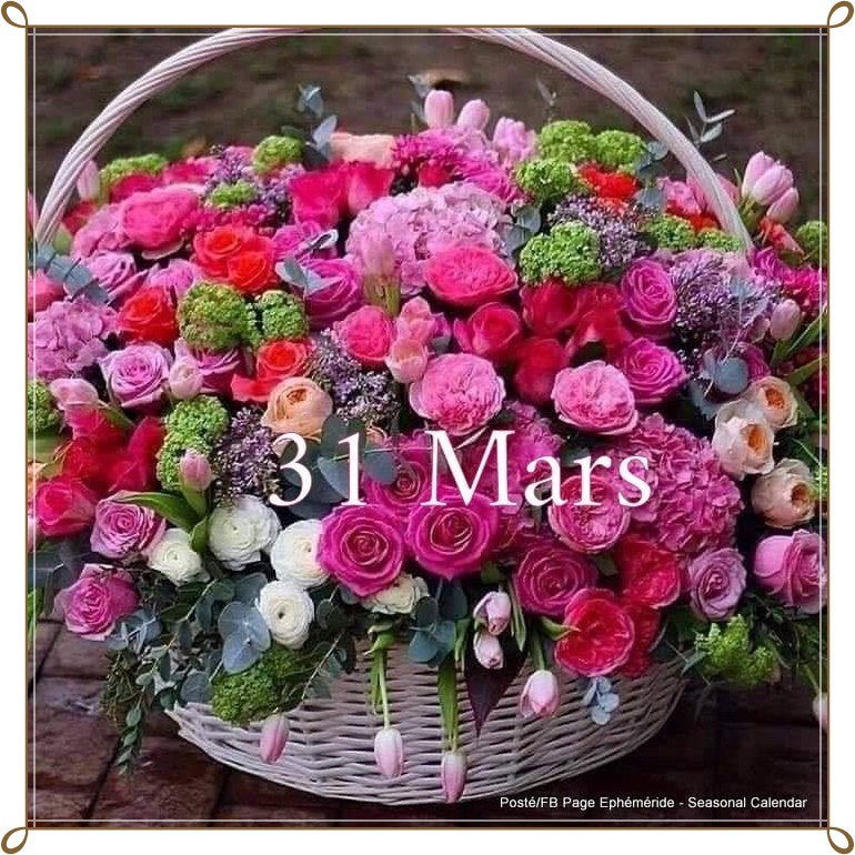 277590128_5254955817887805_3152396630803190767_n