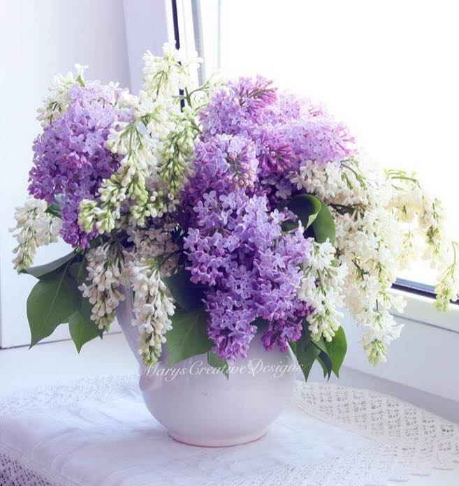 277669978_3160213474216448_5577169891551976860_n