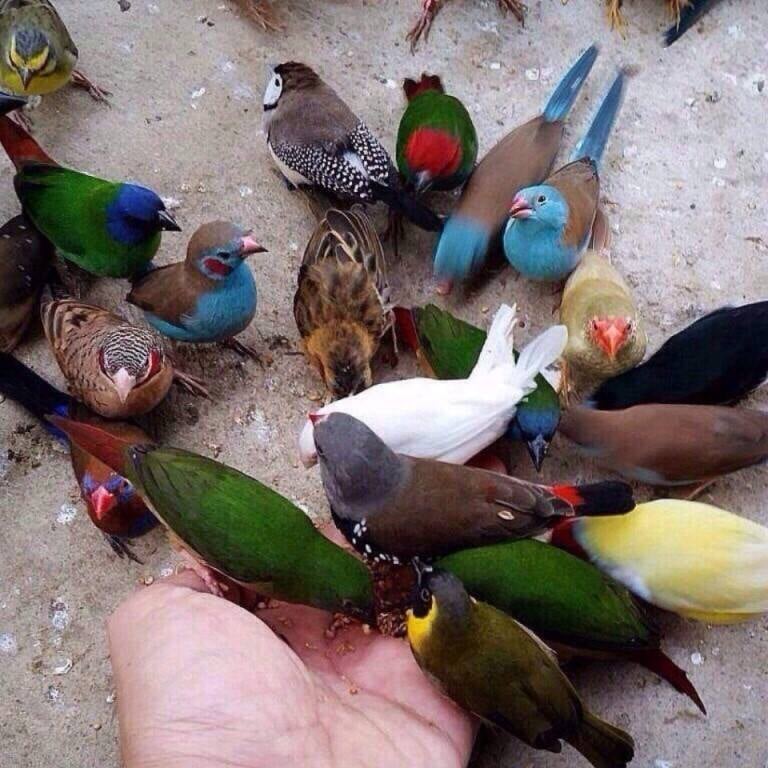 277735873_2254118738100762_8936049571473647679_n