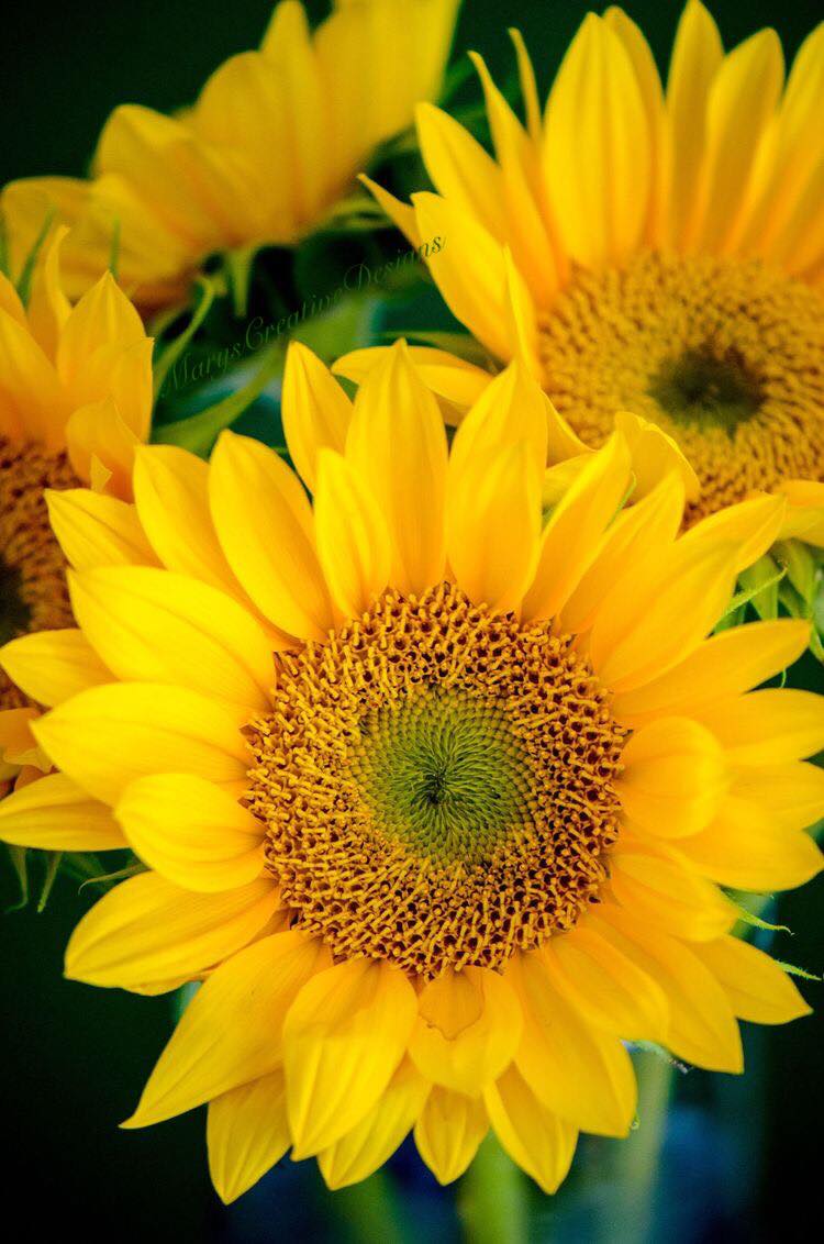 277763496_3160207470883715_5057467065448465583_n (1)