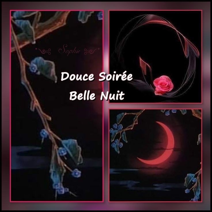 277771165_5276918332358220_646900296395199377_n